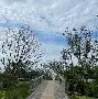 穆古鲁扎重返赛场，反败为胜首场状态出色，DWG观众沸腾！